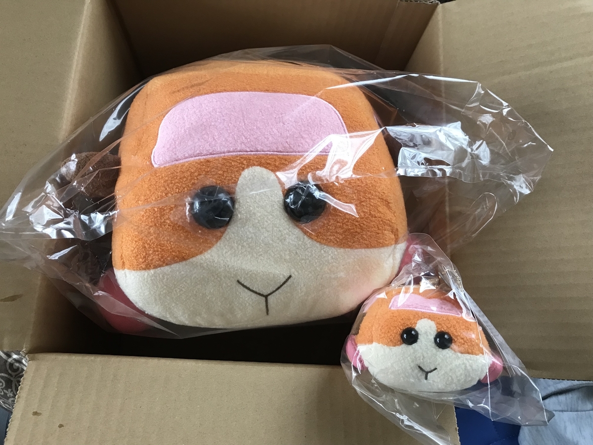 f:id:masatdm1951:20210630065030j:plain