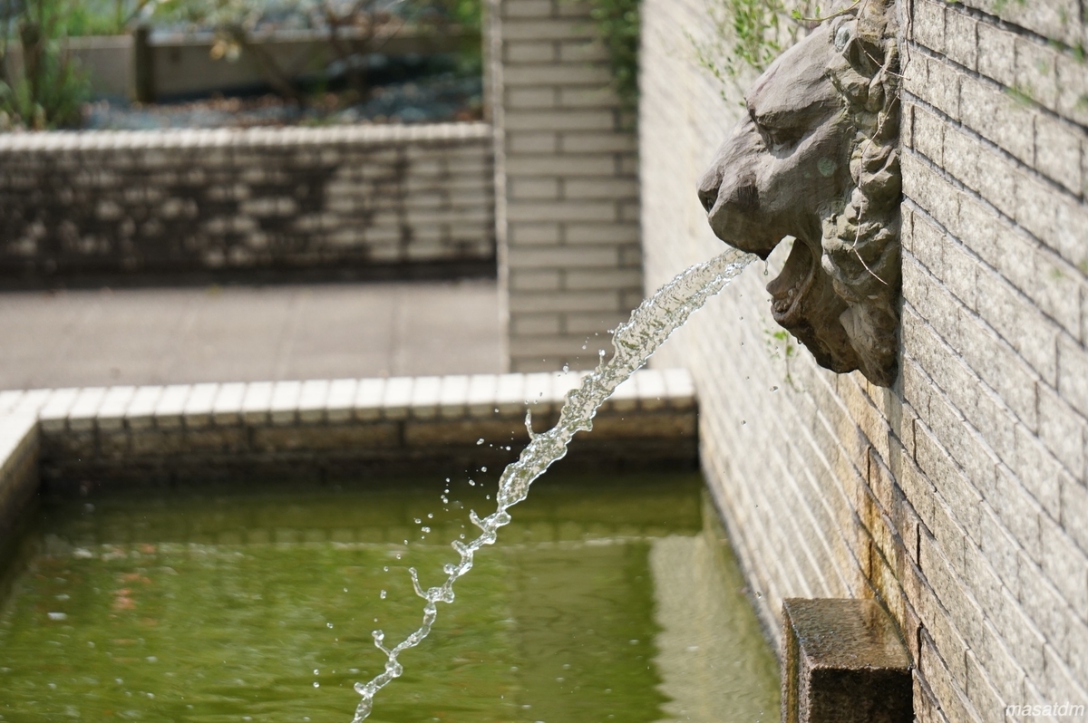 f:id:masatdm1951:20210831221911j:plain