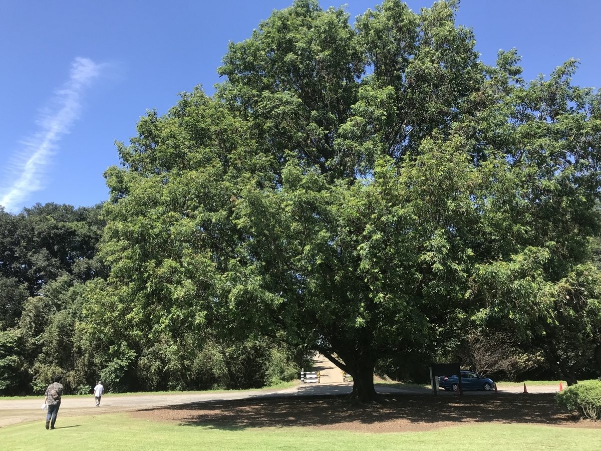 f:id:masatdm1951:20210910110839j:plain