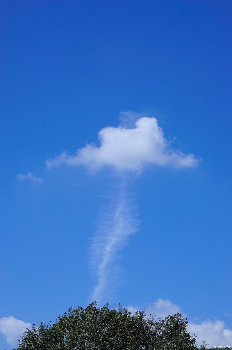 f:id:masatdm1951:20210911161201j:plain