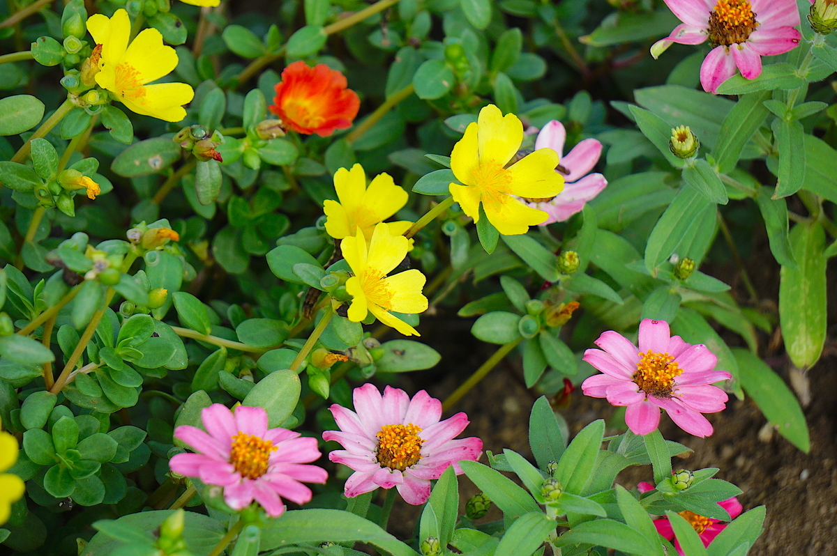 f:id:masatdm1951:20210929144707j:plain