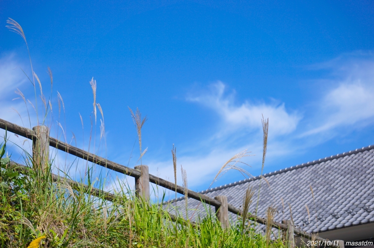 f:id:masatdm1951:20211011205256j:plain