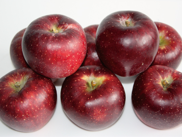 f:id:masatdm1951:20211011205617j:plain