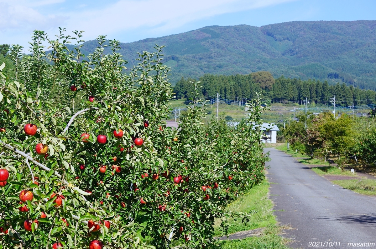 f:id:masatdm1951:20211011205751j:plain