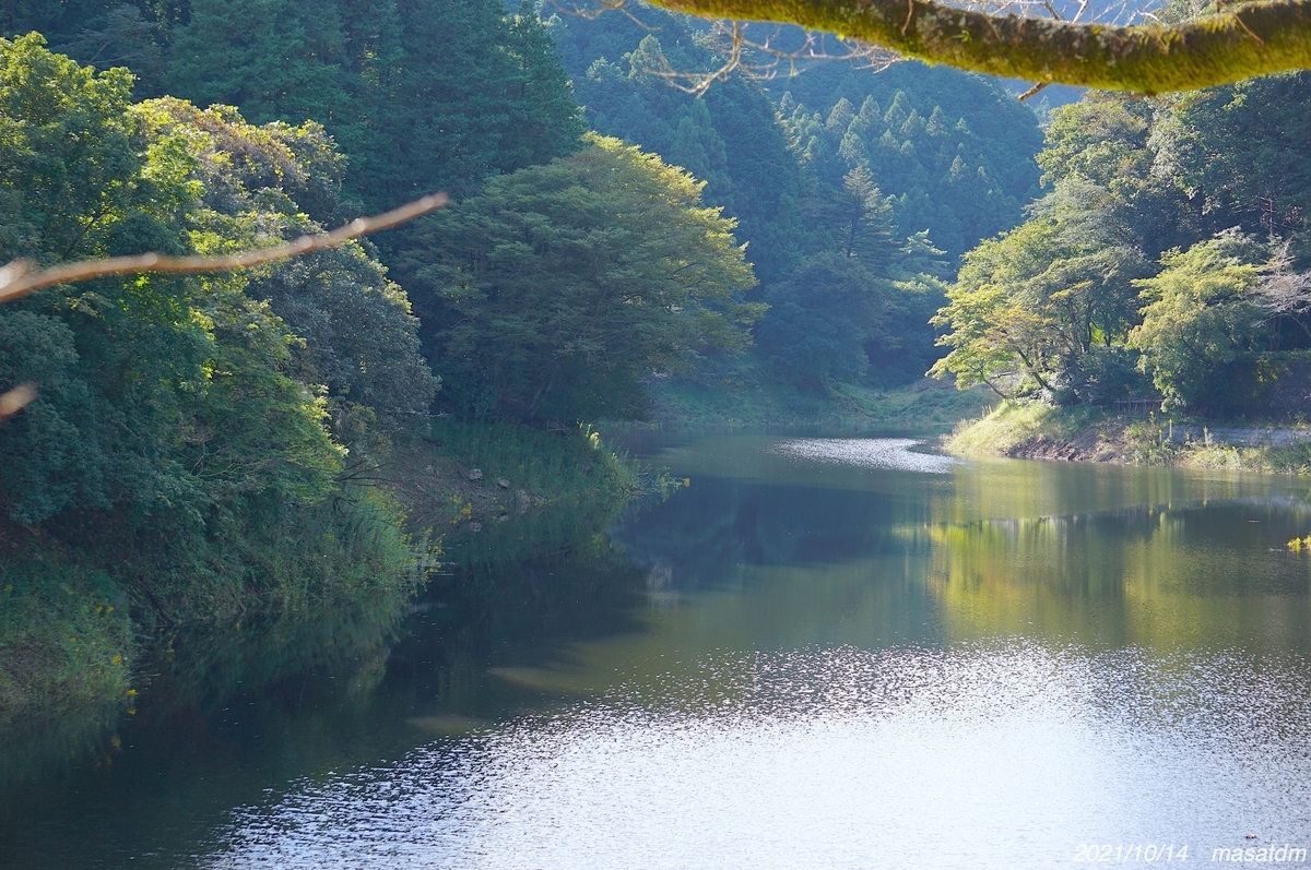 f:id:masatdm1951:20211014203653j:plain