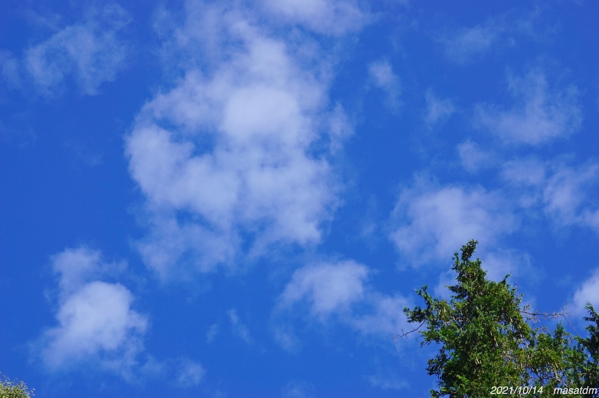 f:id:masatdm1951:20211014204001j:plain