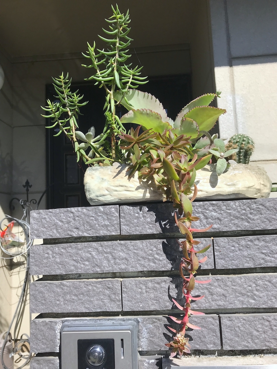 f:id:masatdm1951:20211018100825j:plain