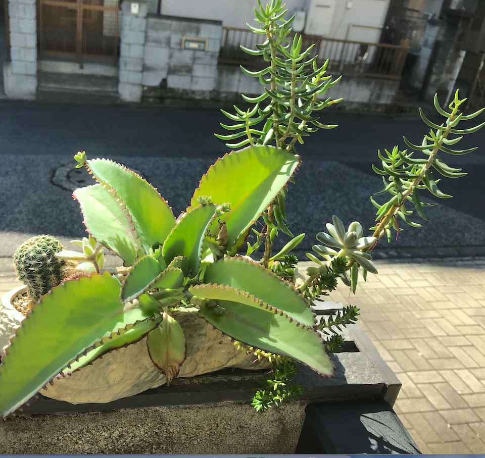 f:id:masatdm1951:20211018140633p:plain