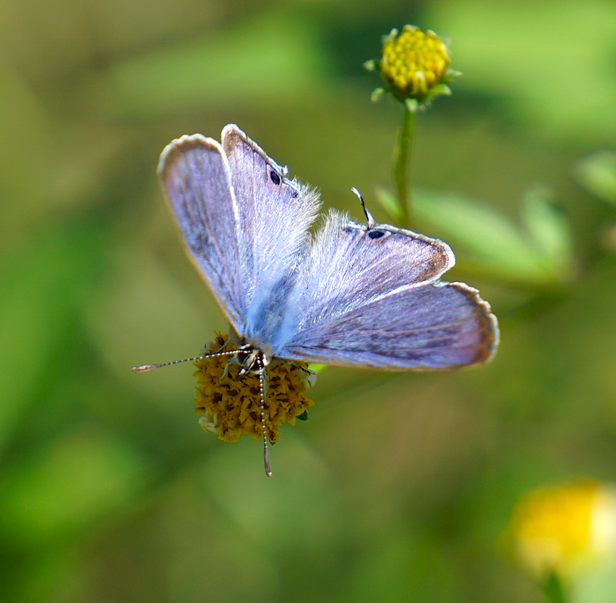 f:id:masatdm1951:20211019094245j:plain