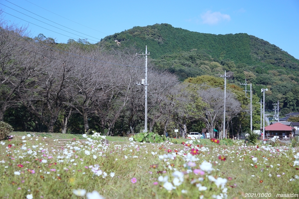 f:id:masatdm1951:20211020144116j:plain