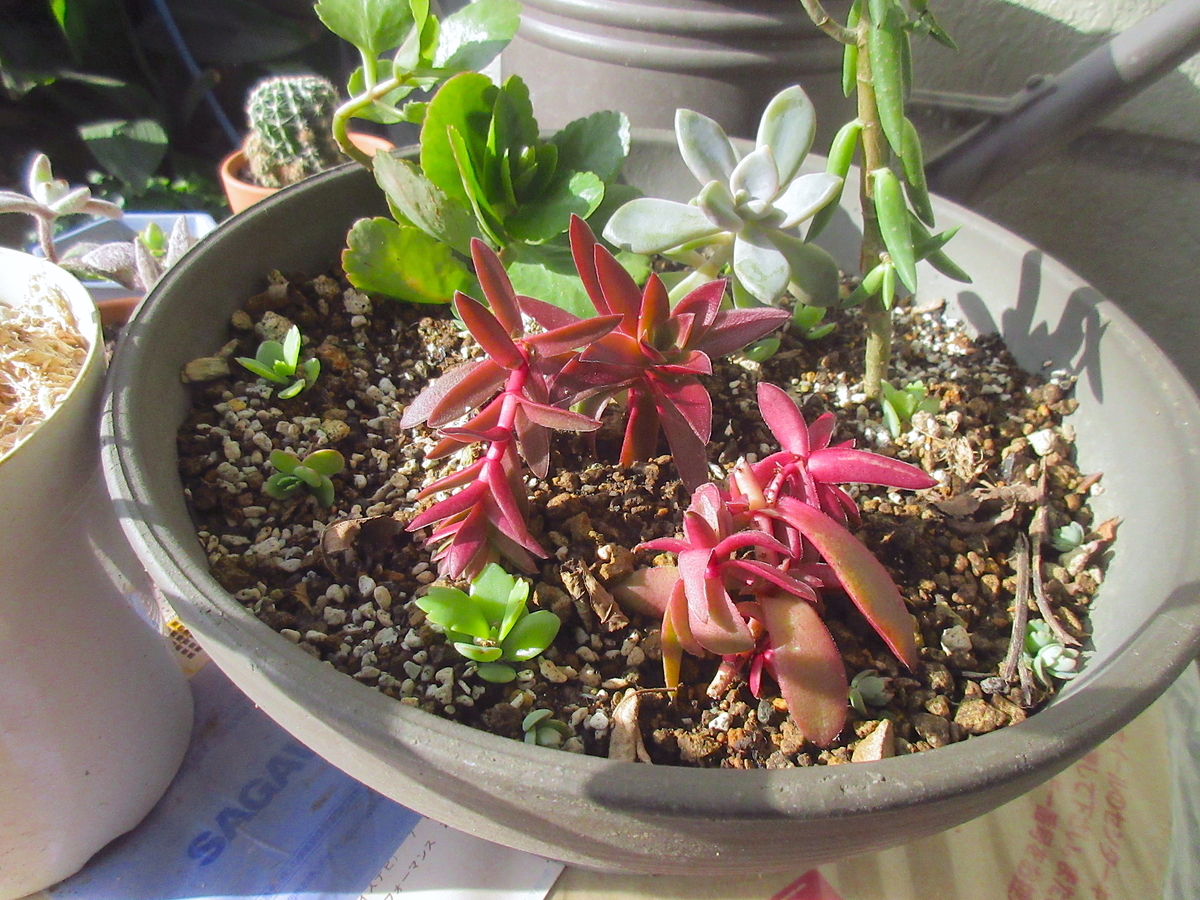 f:id:masatdm1951:20211101091942j:plain