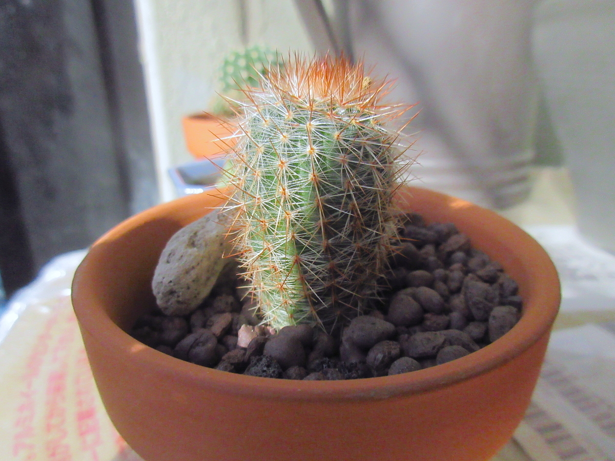 f:id:masatdm1951:20211101092007j:plain