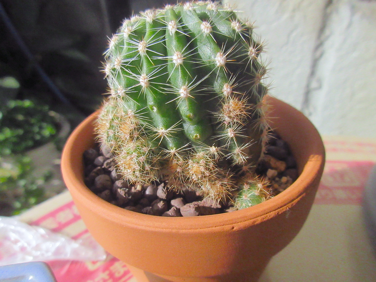 f:id:masatdm1951:20211101092013j:plain