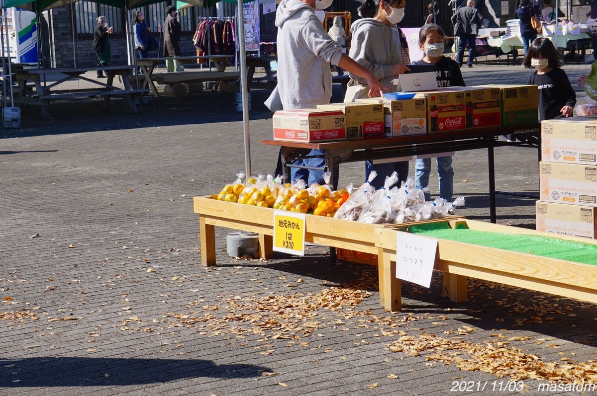 f:id:masatdm1951:20211103164111j:plain