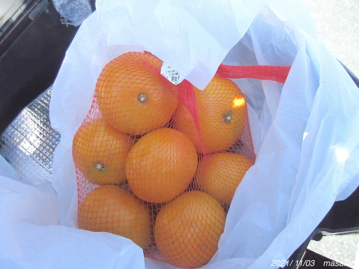 f:id:masatdm1951:20211103164127j:plain