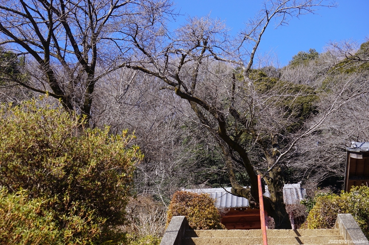 f:id:masatdm1951:20220201220625j:plain