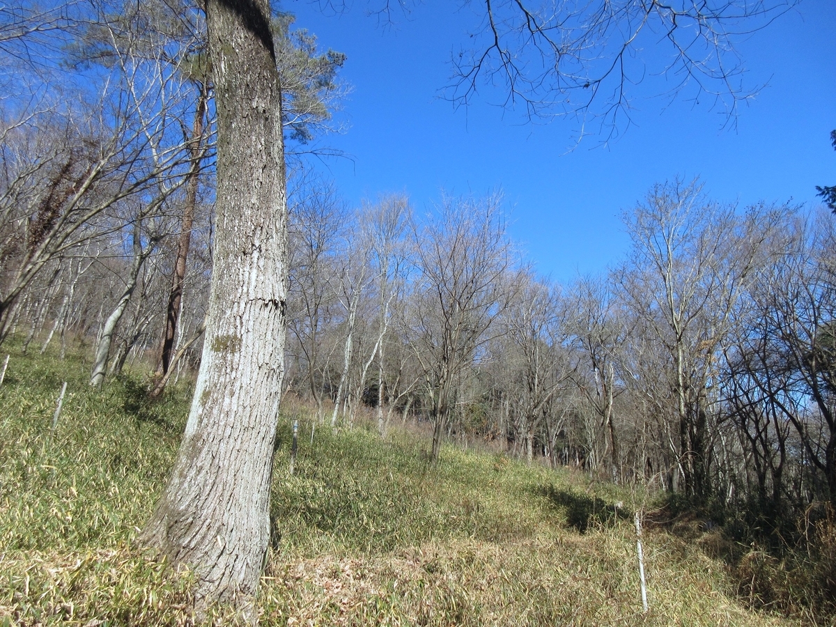 f:id:masatdm1951:20220201220923j:plain