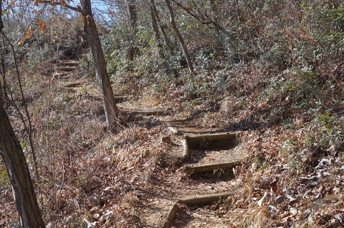 f:id:masatdm1951:20220201221030j:plain