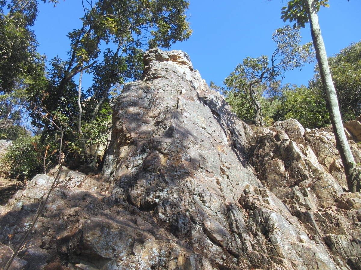 f:id:masatdm1951:20220201221121j:plain