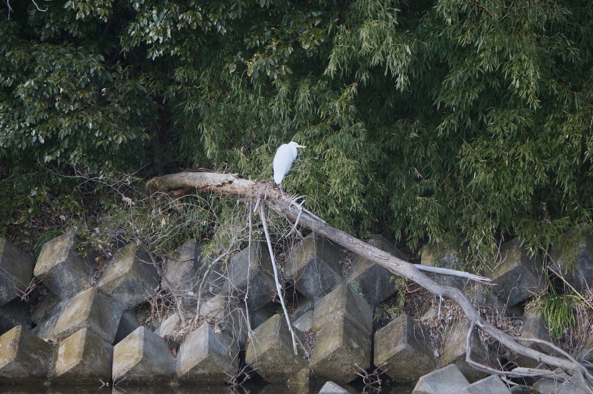 f:id:masatdm1951:20220215211453j:plain