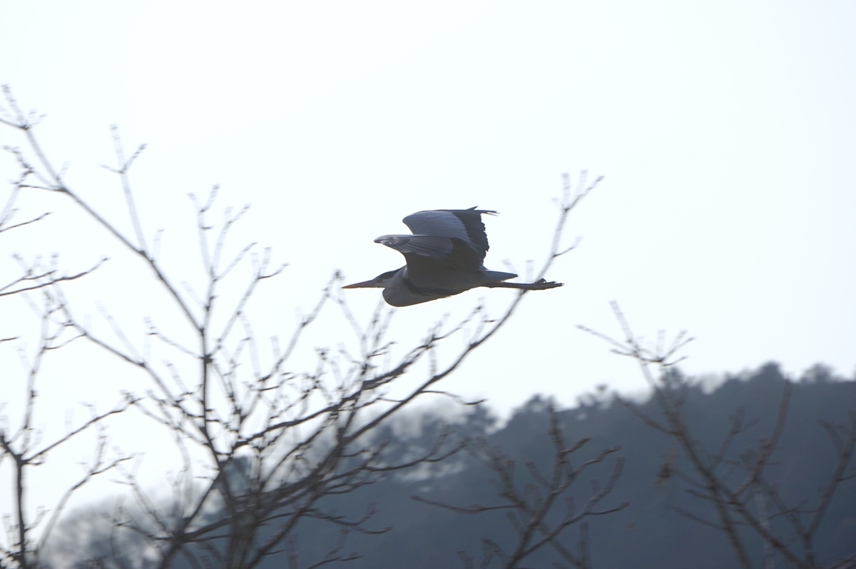 f:id:masatdm1951:20220215211456j:plain