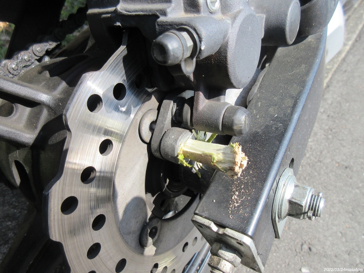 f:id:masatdm1951:20220324111805j:plain