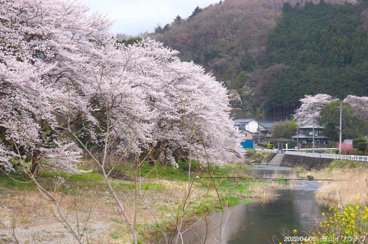 f:id:masatdm1951:20220406215411j:plain