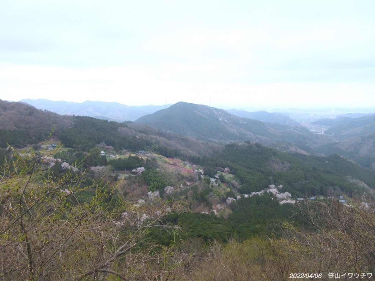 f:id:masatdm1951:20220406215558j:plain