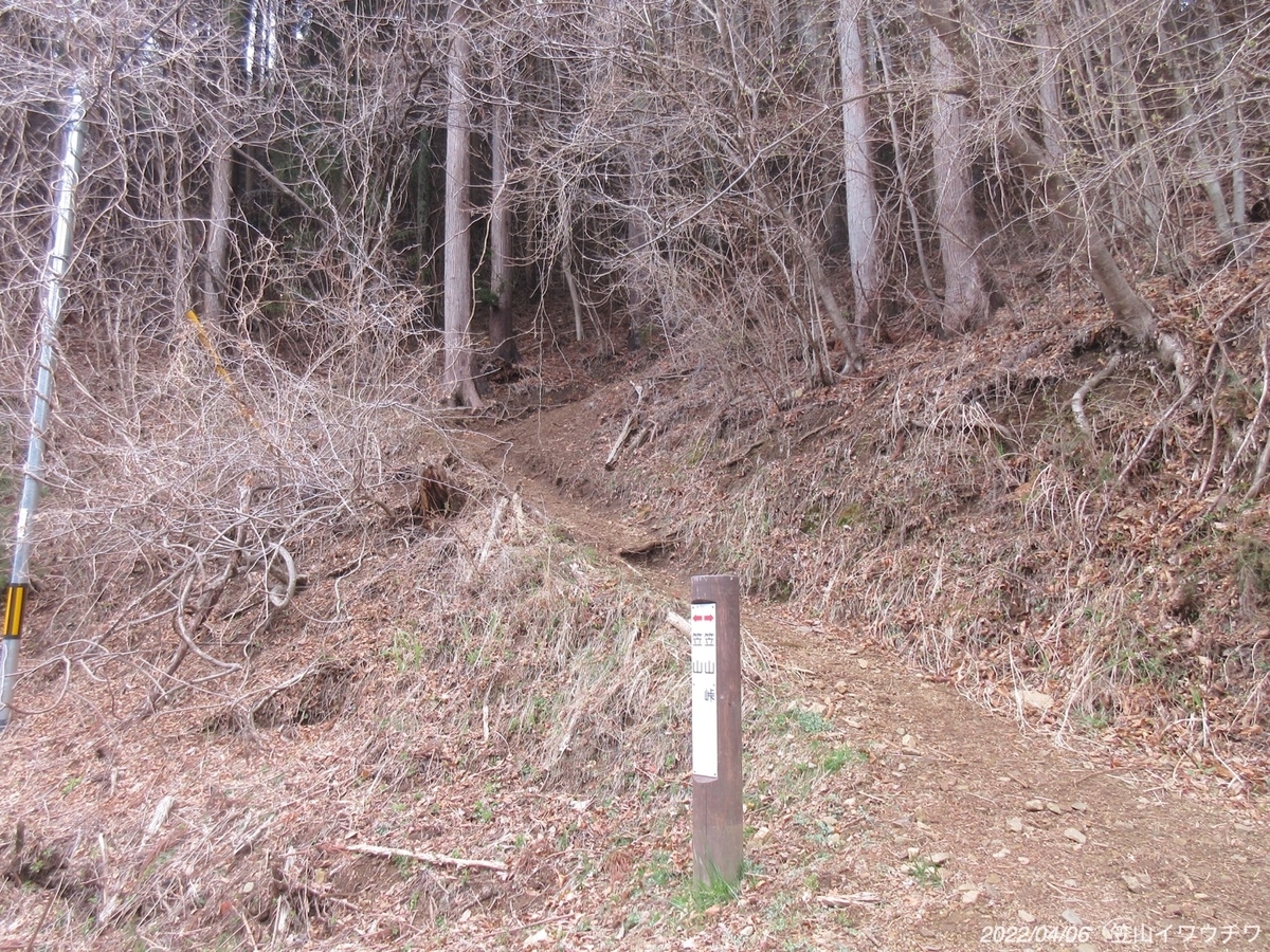 f:id:masatdm1951:20220406215734j:plain