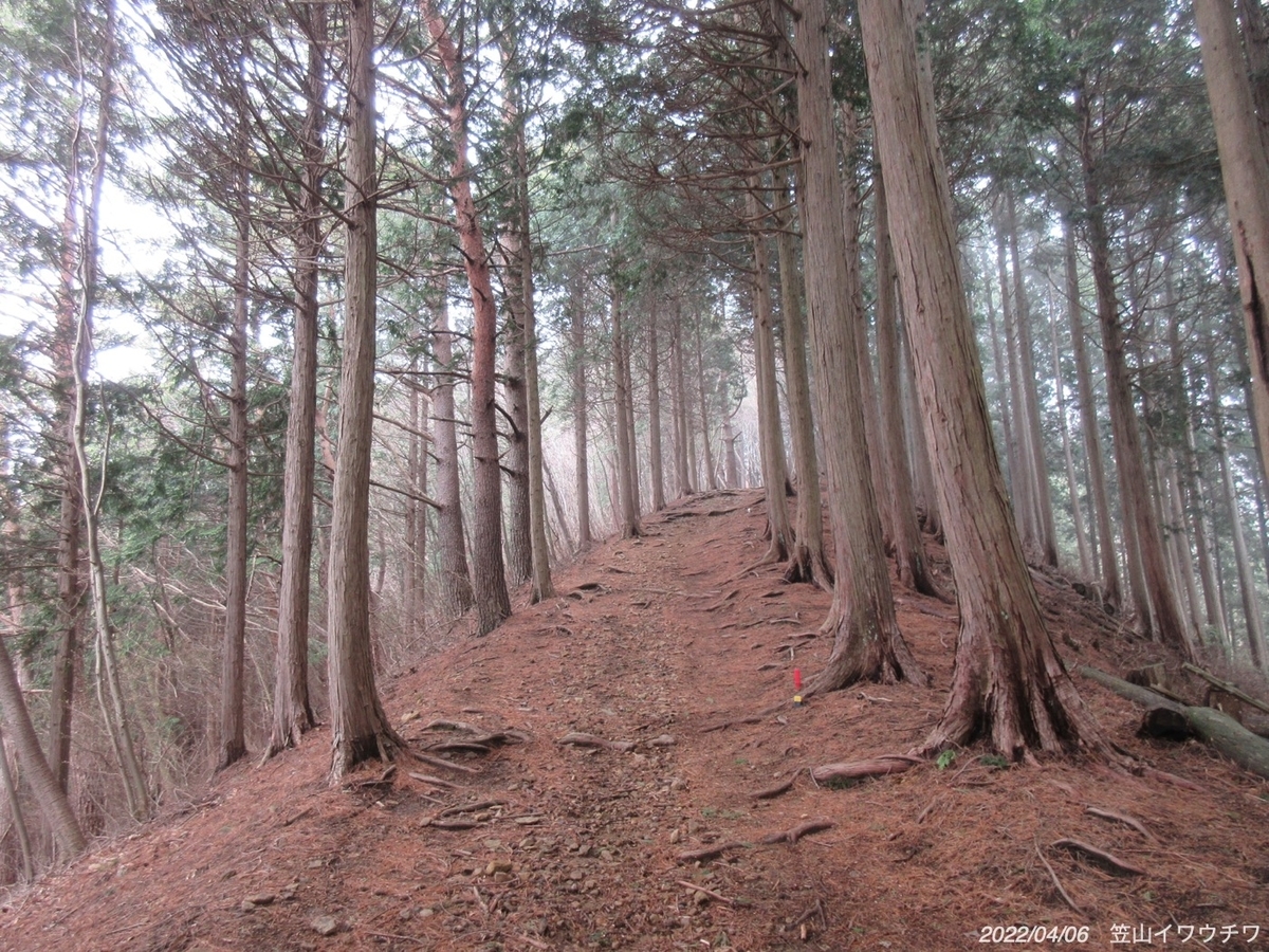 f:id:masatdm1951:20220406215823j:plain