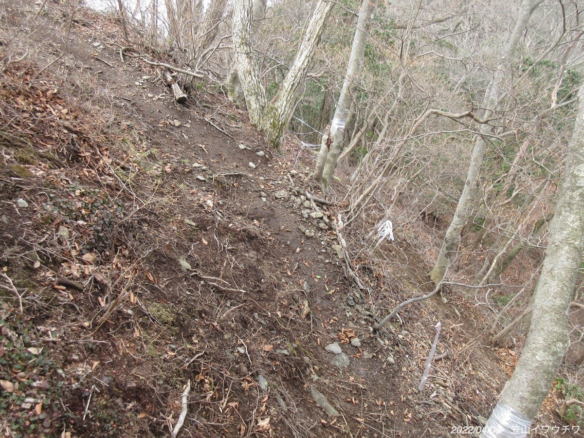 f:id:masatdm1951:20220406215930j:plain