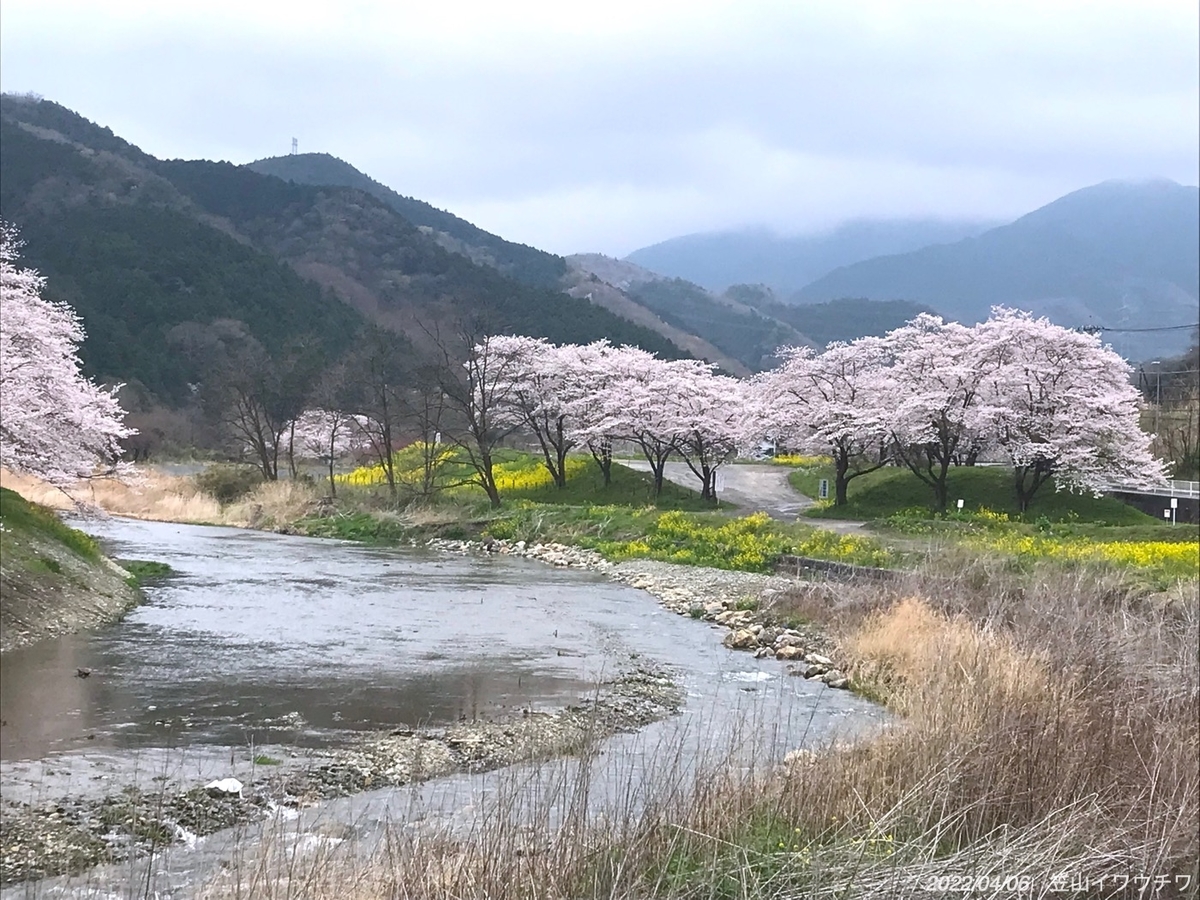 f:id:masatdm1951:20220406220437j:plain