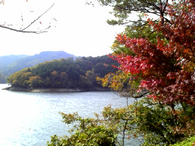 f:id:masatec:20121108204450j:image:w360