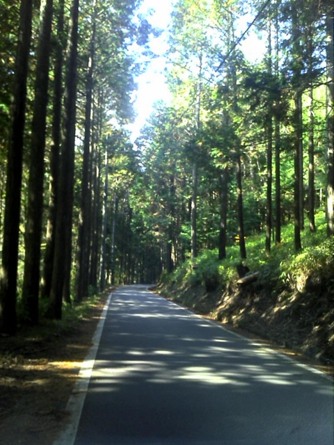 f:id:masatec:20121108204452j:image:w270