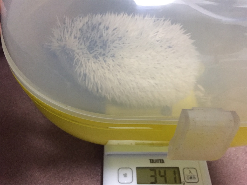 f:id:masato-au-smartphone:20161104231108j:image f:id:masato-au-smartphone:20161104231108j:image