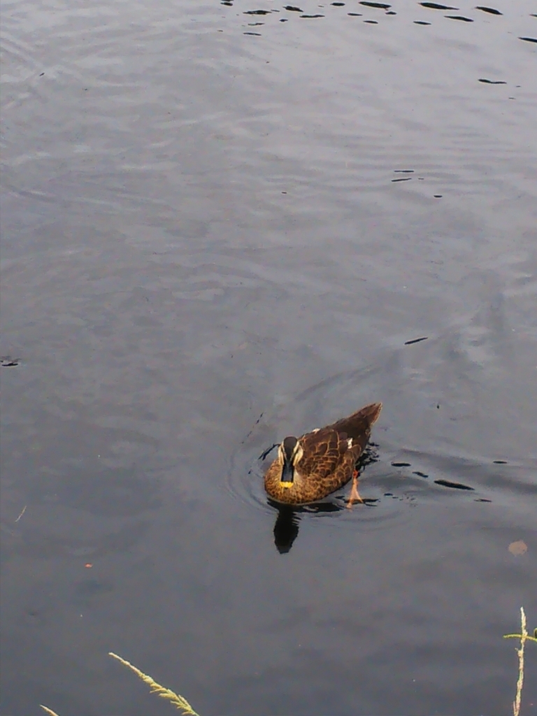 f:id:masato19641105:20180913005512j:plain