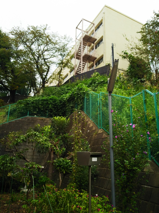 f:id:masato19641105:20181005072552j:plain