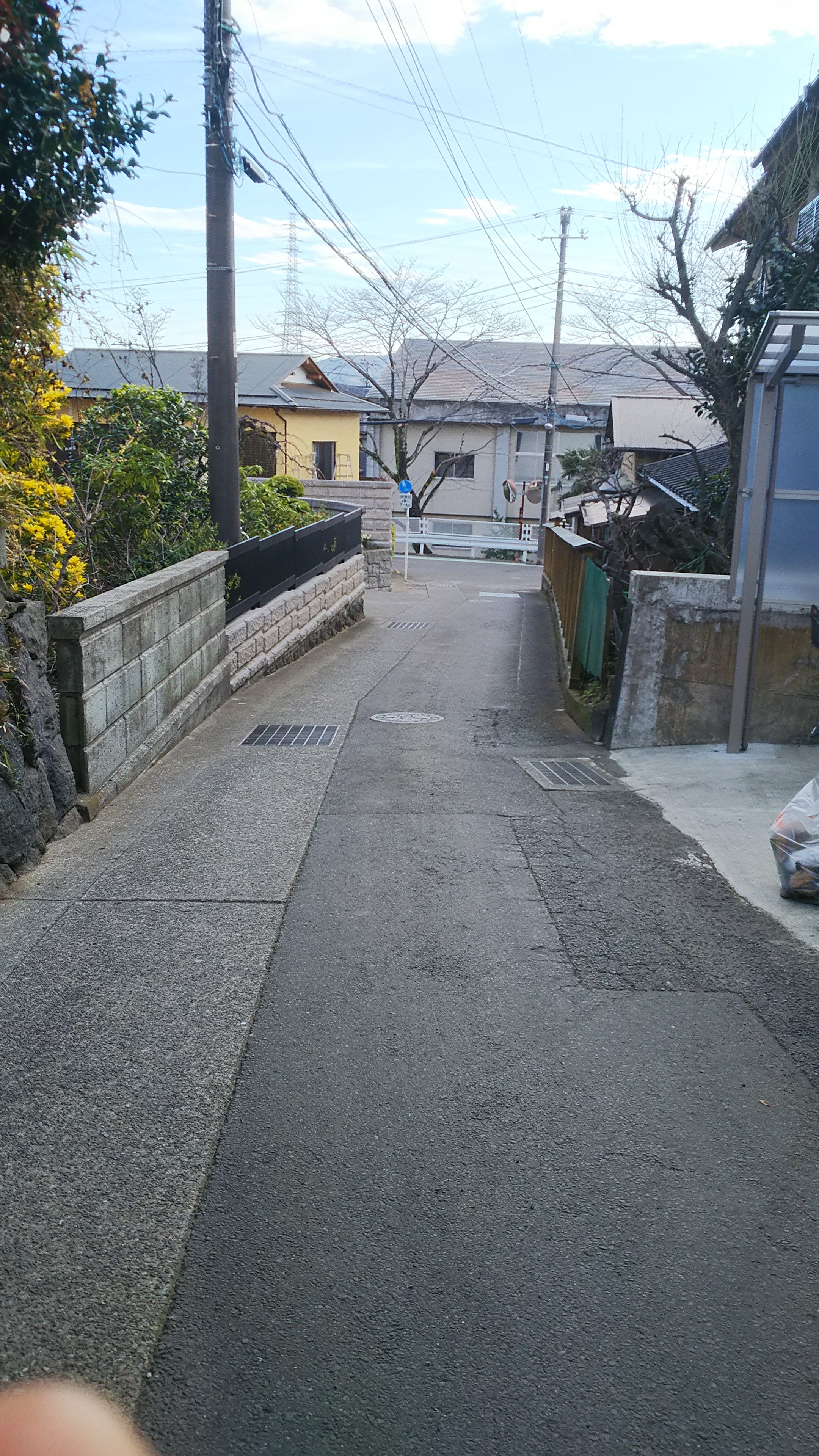 f:id:masato19641105:20190310080959j:image f:id:masato19641105:20190310080959j:image