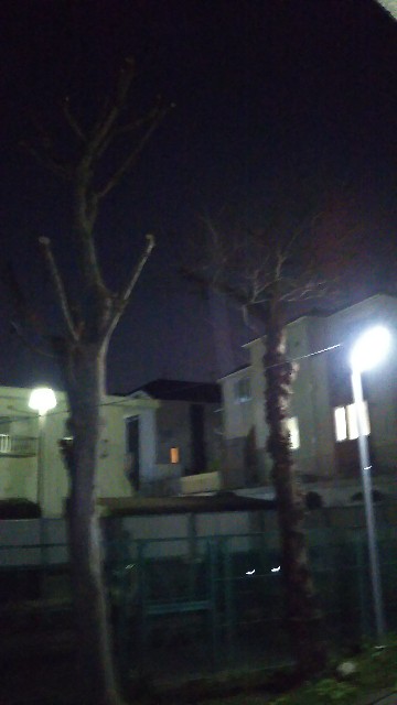 f:id:masato19641105:20190312200312j:image f:id:masato19641105:20190312200312j:image