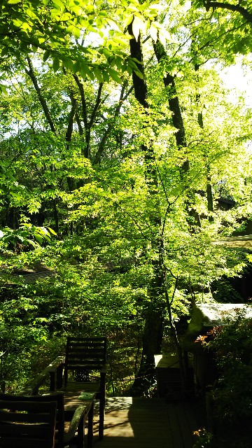 f:id:masato19641105:20190502175237j:image f:id:masato19641105:20190502175237j:image