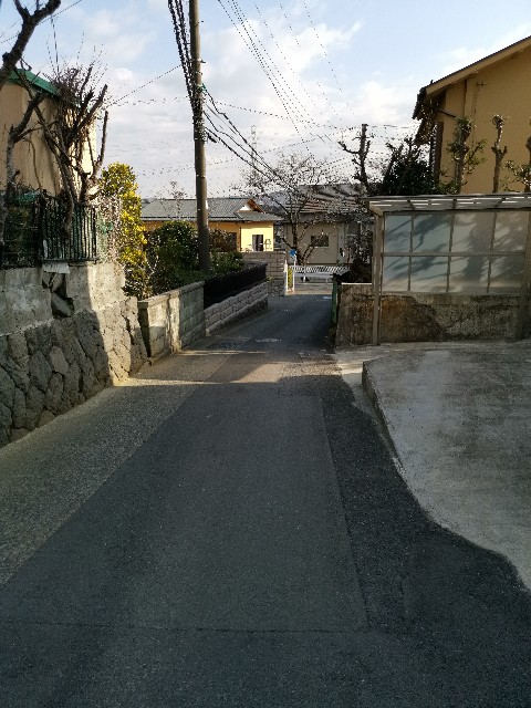 f:id:masato19641105:20200204230630j:image f:id:masato19641105:20200204230630j:image