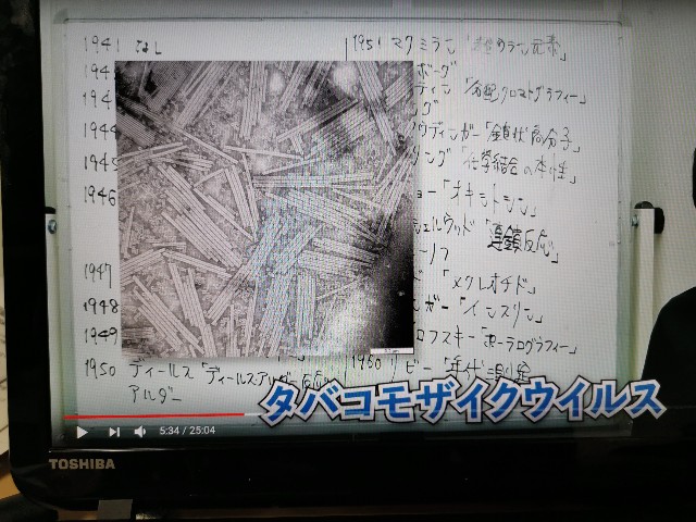 f:id:masato19641105:20200324005540j:image f:id:masato19641105:20200324005540j:image