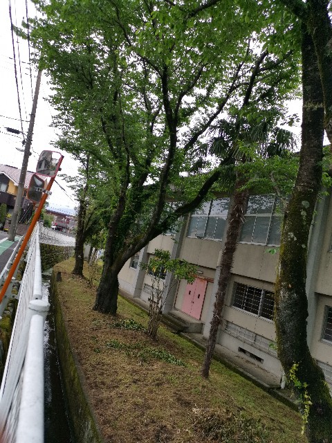 f:id:masato19641105:20200506201928j:image f:id:masato19641105:20200506201928j:image