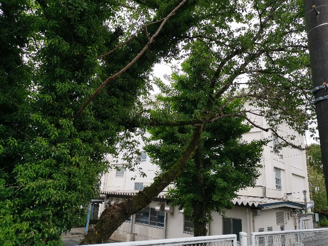 f:id:masato19641105:20200506201937j:image f:id:masato19641105:20200506201937j:image