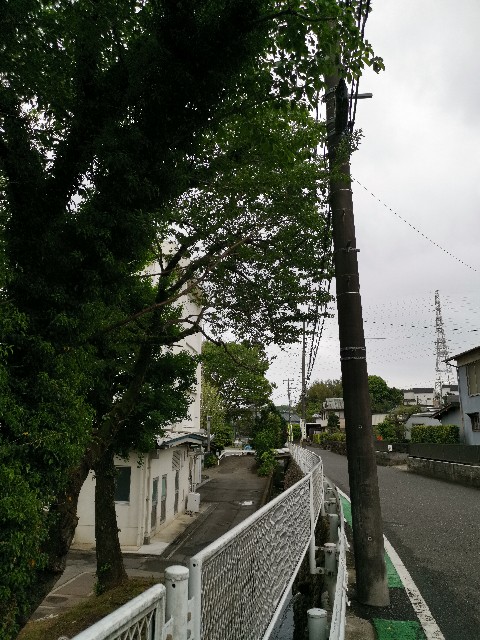 f:id:masato19641105:20200506201944j:image f:id:masato19641105:20200506201944j:image