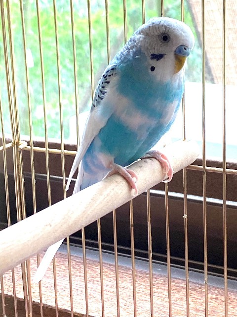 f:id:masato19641105:20200727211904j:plain f:id:masato19641105:20200727211904j:plain