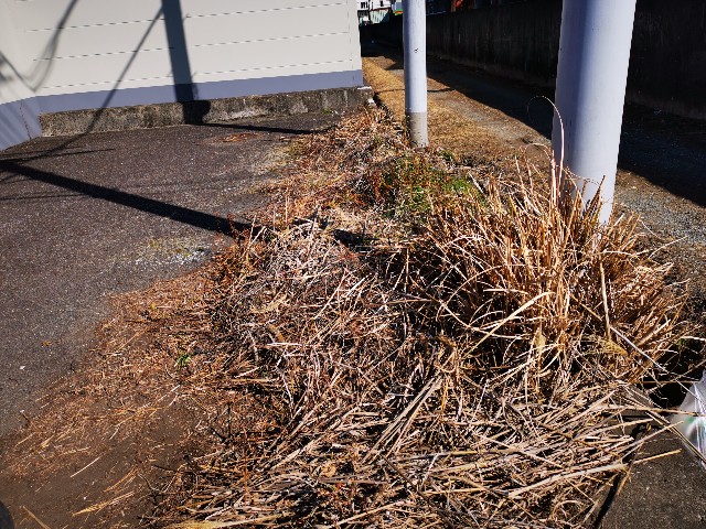 f:id:masato19641105:20210218233950j:image