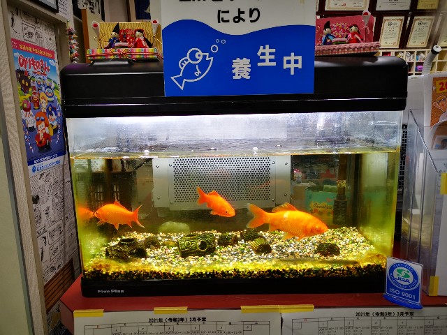 f:id:masato19641105:20210225212832j:image f:id:masato19641105:20210225212832j:image