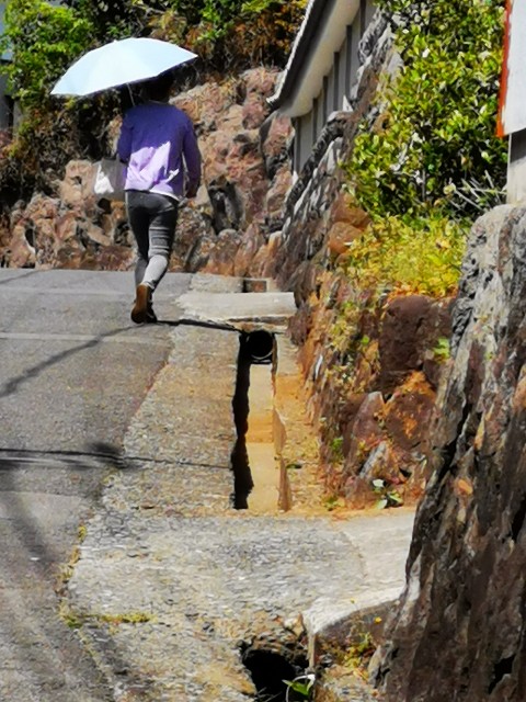 f:id:masato19641105:20210423231704j:image f:id:masato19641105:20210423231704j:image