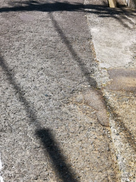 f:id:masato19641105:20210423231718j:image f:id:masato19641105:20210423231718j:image